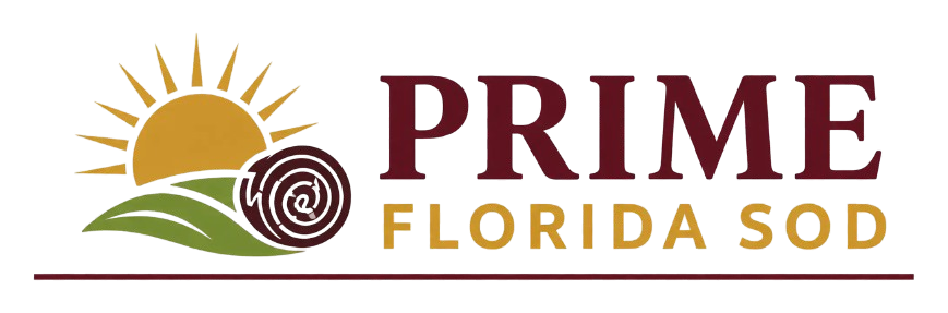 Prime Florida Sod